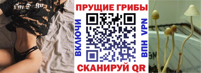 даркнет Telegram Усть-Лабинск Галлюциногенные грибы ЛСД купить закладку