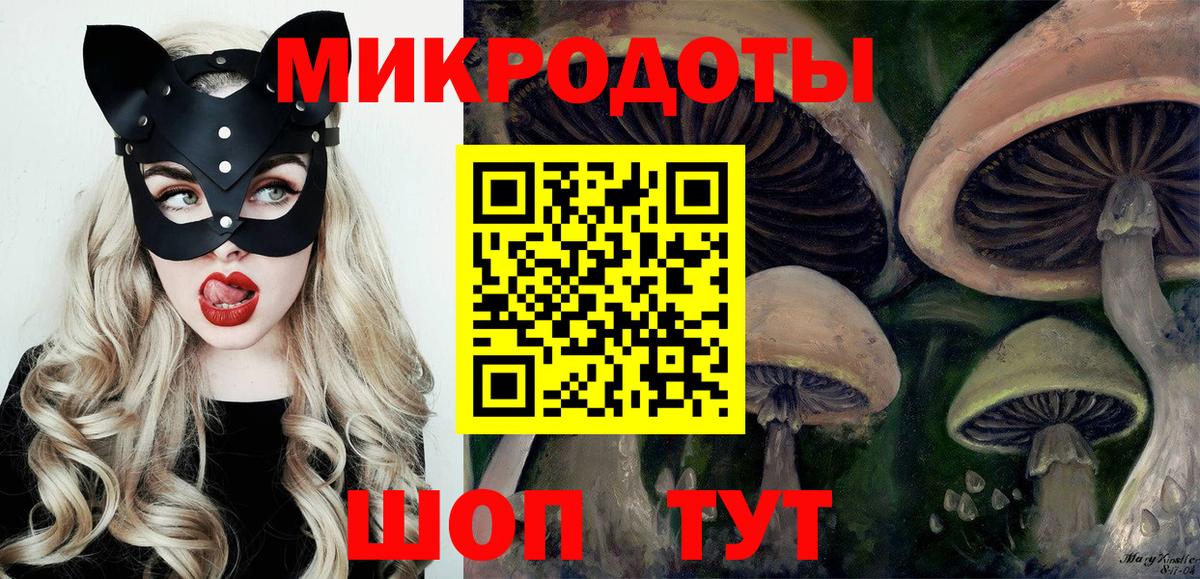 закладка  Вход с VPN  Усть-Лабинск  Галлюциногенные грибы Cubensis 