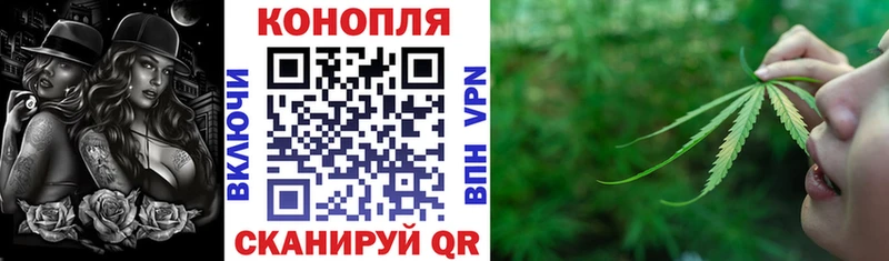 Бошки Шишки гибрид  mega tor  Усть-Лабинск 